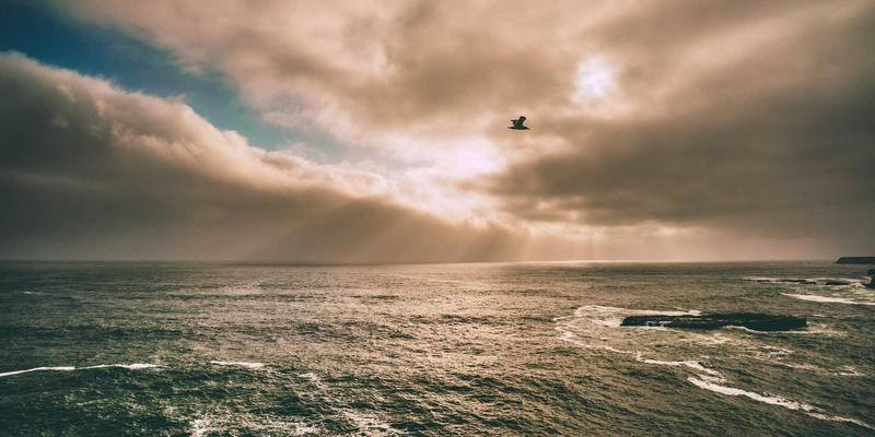 2024春夏女装批发采购指南：解码潘通流行色系与潮流服饰选品策略