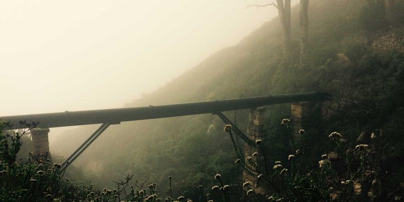 Z世代女性消费心理洞察：如何重塑时尚女装设计与批发策略