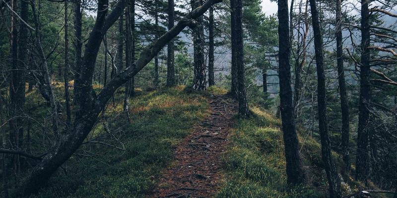 从三大品牌解码时尚女装成功密码：女性时装消费的潮流演变与商业启示