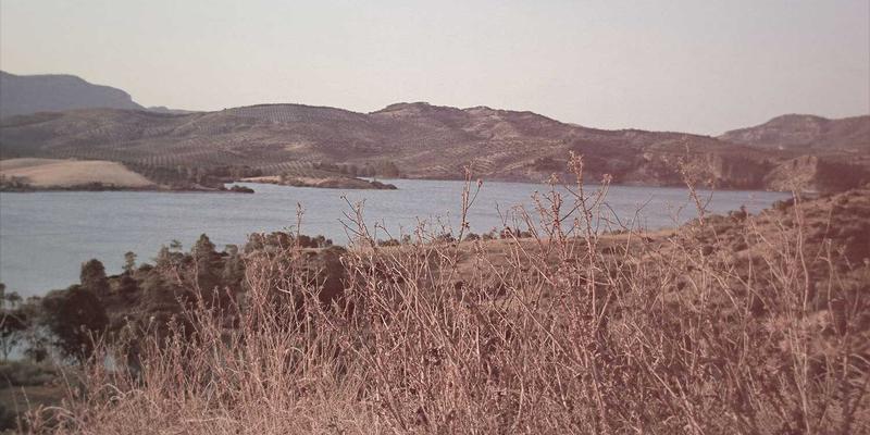 大码女装市场趋势与采购指南：洞悉女性时装批发新蓝海