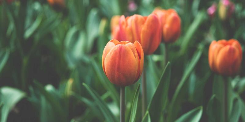 新中式女装设计元素解析与国风潮流单品采购指南：服装批发市场的风向标