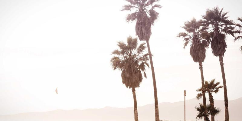 早春女装流行趋势预测：从秀场到街拍，解析潮流服饰批发新风向