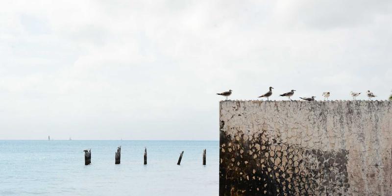 时尚女装51：解锁女装批发采购的成功密码，抢占市场先机