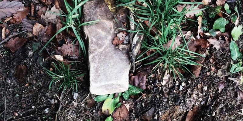 时尚女装55：解码批发采购新趋势，打造女性时装商业竞争力