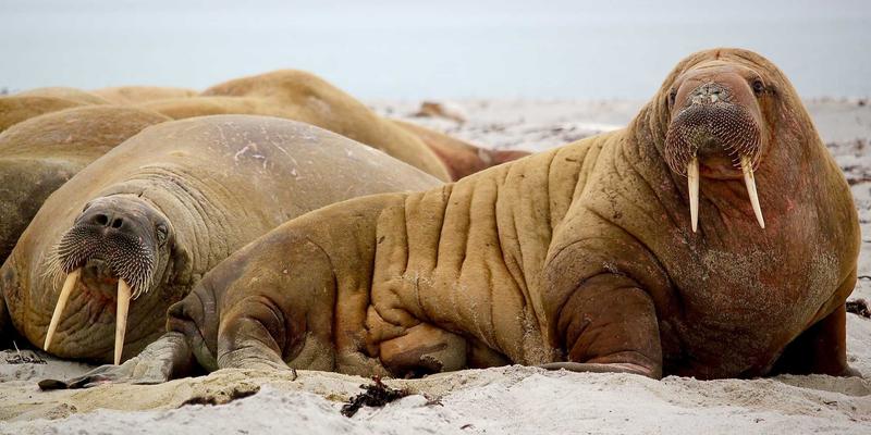 时尚女装57：解码当代女性时装的潮流密码与穿搭哲学