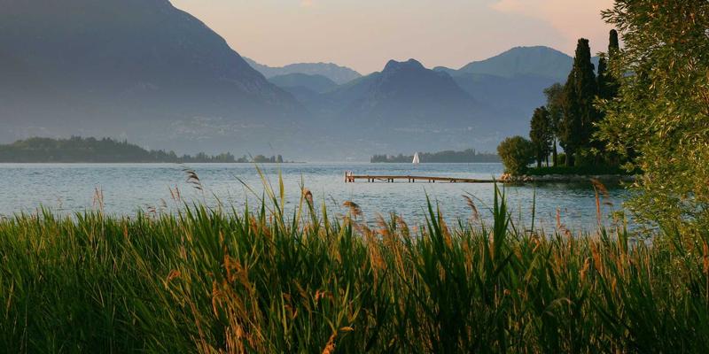 时尚女装96：掌握批发采购核心策略，抢占潮流服饰市场先机