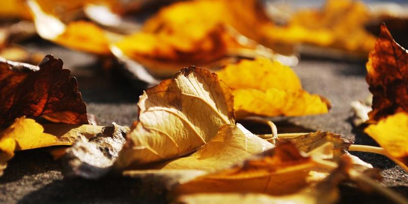 时尚女装新浪潮：解码潮流服饰趋势与高效批发策略