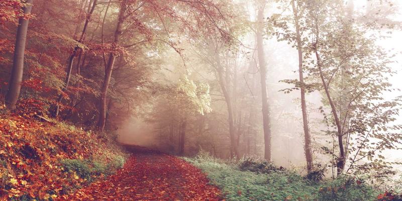 时尚女装新趋势：多巴胺穿搭的可持续批发策略——高饱和度色彩与环保面料的完美结合