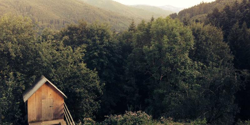 时尚女装新趋势：瑜伽服跨界日常穿搭，女装批发采购的蓝海机遇