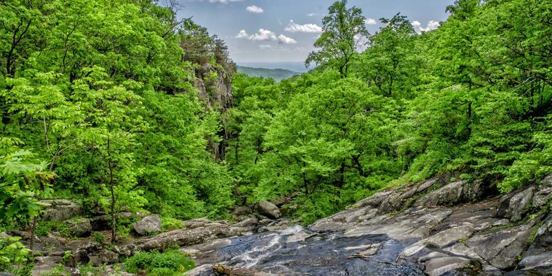 时尚女装进阶指南：掌握批发采购核心，精准捕获潮流服饰商机