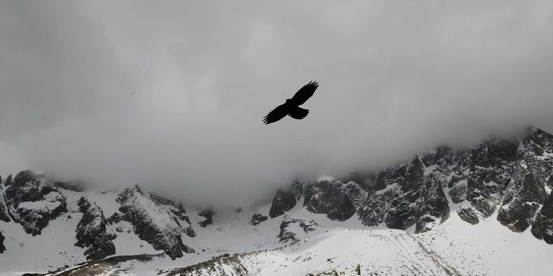 职场新人时尚女装投资指南：高性价比通勤品牌推荐与搭配秘诀