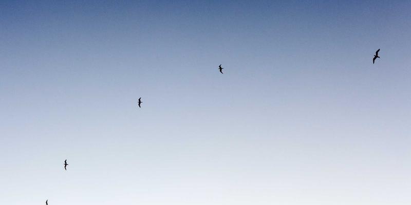 通勤休闲两相宜：女性时装胶囊衣橱构建与高效批发采购指南